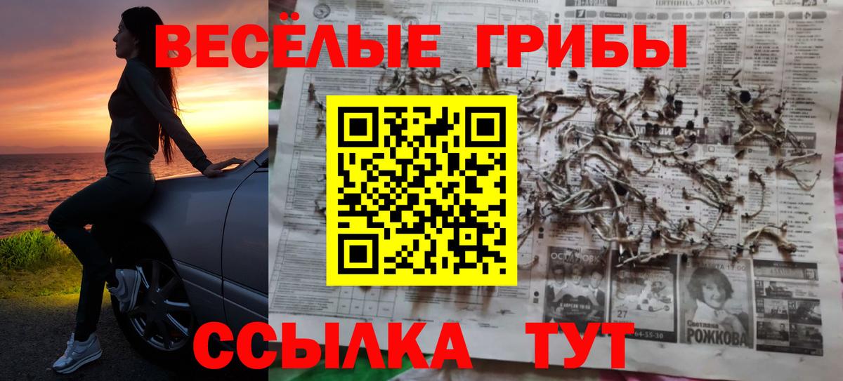 Ахтубинск  Псилоцибиновые грибы Psilocybine cubensis  Вход с VPN 