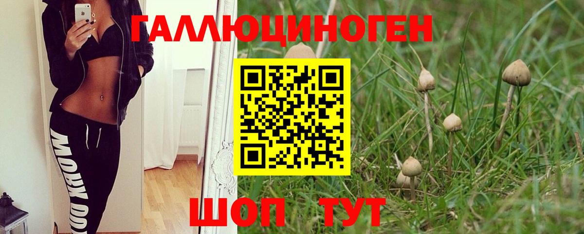 Галлюциногенные грибы прущие грибы Ахтубинск